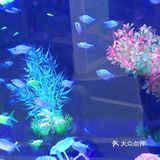 听说夏天遛娃和海洋馆更配哦！