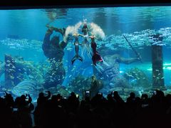 -哈尔滨波塞冬海底世界