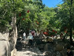 -天津盘山风景名胜区