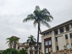 -厦门北海湾惠龙万达嘉华酒店