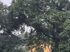 -桂林独秀峰王城景区