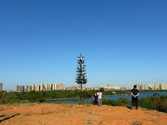 -盘龙城国家考古遗址公园