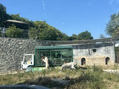 -五龙山野生动物王国