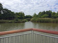 -福田红树林生态公园