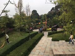 -成飞公园