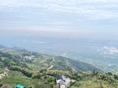 -铁山坪森林公园