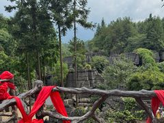 -梭布垭石林景区