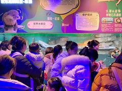 -重庆欢乐海底世界