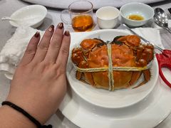 -新光酒家·河豚·海鲜·蟹料理(浦东店)