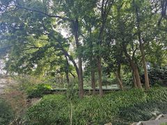-乌山风景区