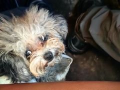 -华中科技大学同济医学院附属同济医院(汉口院区)