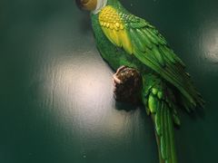 -青一色火锅(摩根店)