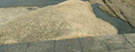 -日照灯塔风景区