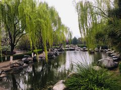 -西安青龙寺遗址景区