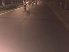 -桂萍特色牛筋牛杂(长堤街总店)