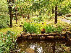 -陈家山荷花公园