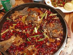 -老板恋上鱼(高新万达店)