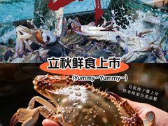 -金沙滩海鲜餐厅·海肠捞饭·手工水饺(梅江龙水园店)