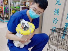 -北京观赏动物医院·24小时大型综合·猫专科·异宠专科