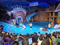 -烟台海昌鲸鲨海洋公园