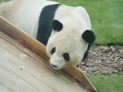 -无锡动物园·太湖欢乐园