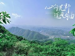 -午潮山国家森林公园