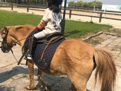 -松声马术俱乐部