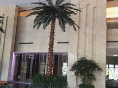 -常州环球恐龙城维景国际大酒店