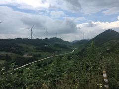 -齐岳山