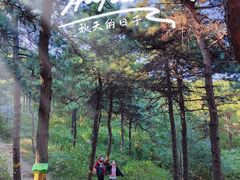-北京西山国家森林公园