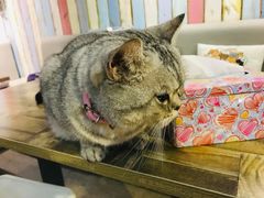 -小时光咖啡馆(开森度假森林店)