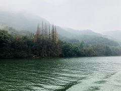 -严子陵钓台(富春江小三峡)