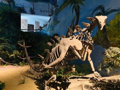-自贡恐龙博物馆
