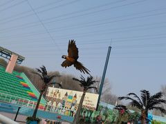 -北京野生动物园