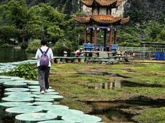 -靖西鹅泉风景区