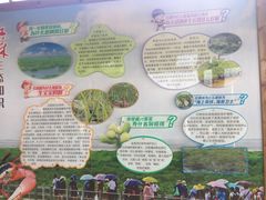 -北海金海湾红树林生态旅游区