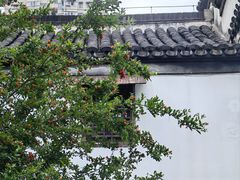 -南京市民俗博物馆(甘熙故居)