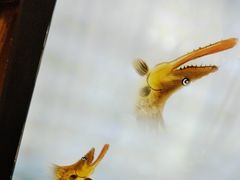 -徽三说·土徽菜·中国徽菜连锁品牌(一中店)