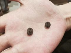 -巴厘岛黄金金兔咖啡工厂