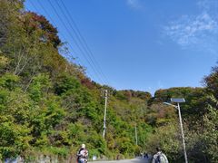 -天女山森林公园