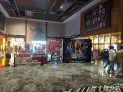 -万达影城(南宁万达茂IMAX店)