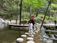-牛背梁国家森林公园