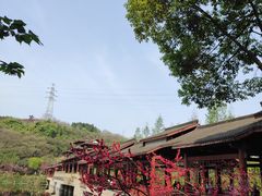 -重庆彩云湖湿地公园
