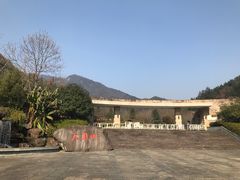 -天目山大树王景区