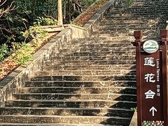-大屏嶂森林公园