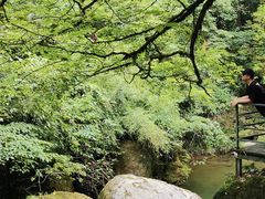 -龙苍沟森林公园