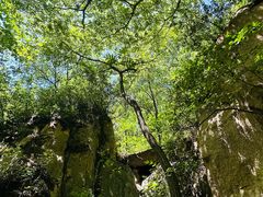 -大岭沟猕猴桃谷风景区