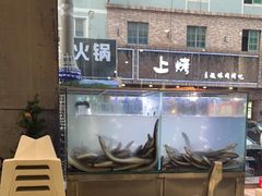 -本炙炭烤·蒲烧活鳗料理店(金沙洲店)