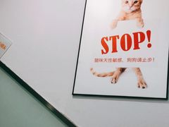 -纳吉亚猫专科动物医院博雅分院
