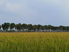 -嘉北郊野公园